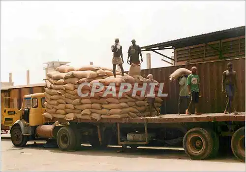 Photo Afrique Bateau Sun Maria Ocean Ace Panama Camion