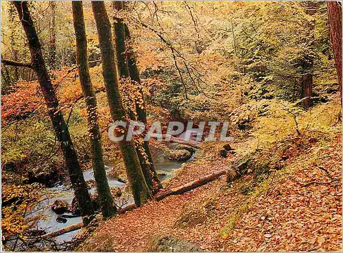 Cartes postales moderne Huelgoat la riviere d argent a l automne