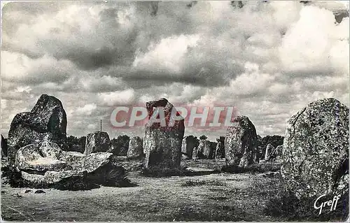 Cartes postales moderne Carnac (morbihan)en bretagne alignements de kermario