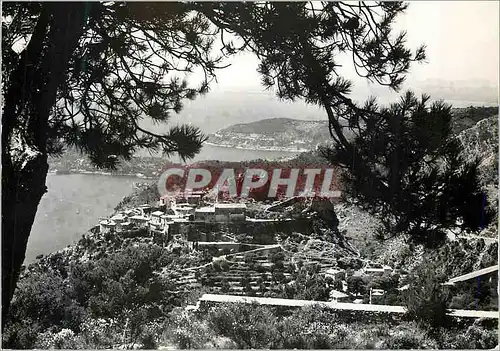 Cartes postales moderne Eze (alpes maritimes) entre les pins