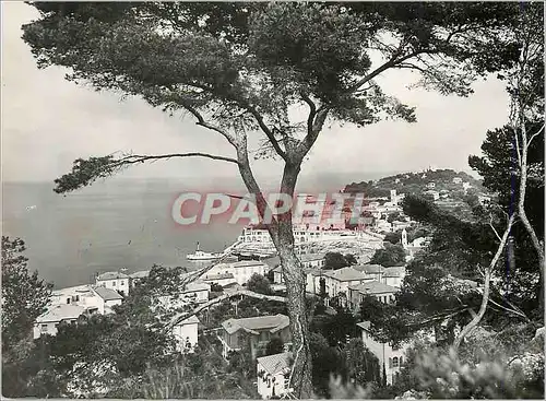 Cartes postales moderne St jean cap ferrat