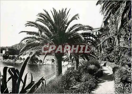 Cartes postales moderne Beaulieu sur mer jardin des fourmis