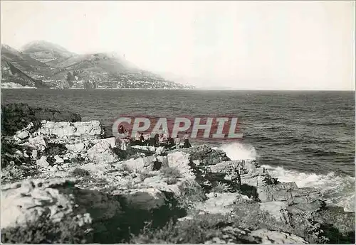Cartes postales moderne Au cap ferrat