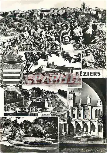 Cartes postales moderne Beziers (herault) vue generale pendant les vendanges pont vieux et cathedrale st nazaire