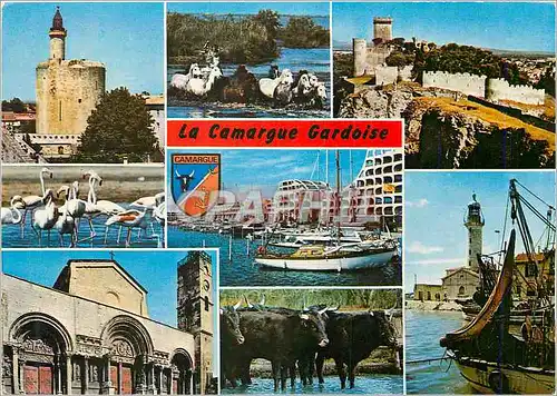 Cartes postales moderne La camargue gardoise aigues mortes beaucaire port camargue saint gilles grau du roi Taureau