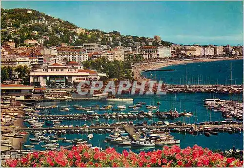 Cartes postales moderne Cannes (a m) le port le casino et la croisette vus du suquet