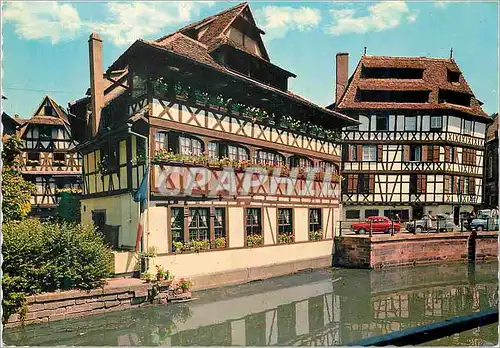 Cartes postales moderne Strasbourg le bain aux plantes