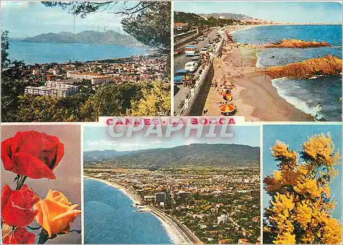 Cartes postales moderne Cannes la bocca la cote d azur