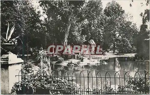 Cartes postales moderne Vichy un coin des nouveaux parcs