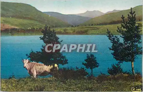 Cartes postales Lac d issarles (ardeche)