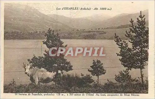 Ansichtskarte AK Lac d issarles (ardeche) alt 1000m