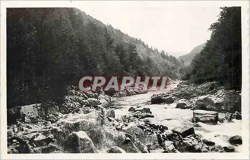 Cartes postales moderne Lac d issarles (alt 997 m) la loire a 3 km du village