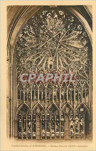 Cartes postales Cathedrale d amiens rose nord (xiv siecle)