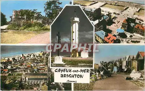 Cartes postales moderne Cayeux sur mer brighton (somme)