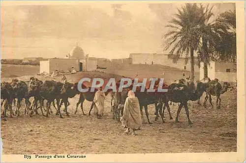 Cartes postales Passage d une caravane Afrique du Nord