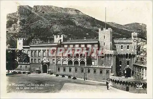 Moderne Karte Monaco le palais du prince et la tete de chien