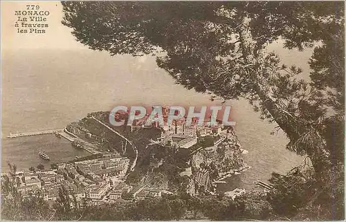 Cartes postales Monaco la ville a travers les pins