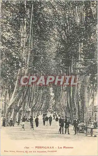 Cartes postales Perpignan les platanes