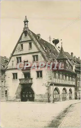 CARTE PHOTO Obernai Cigognes