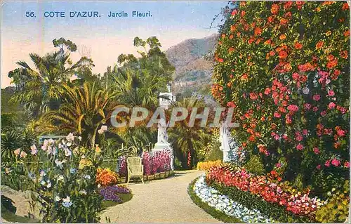 Cartes postales Cote d azur jardin fleuri