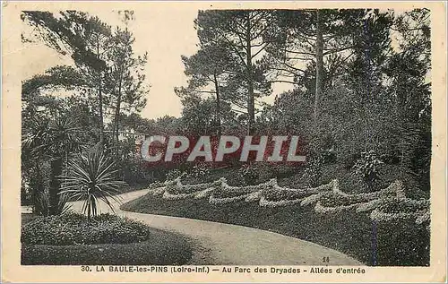 Ansichtskarte AK La baule les pins (loire inf) au parc des dryades allees d entree