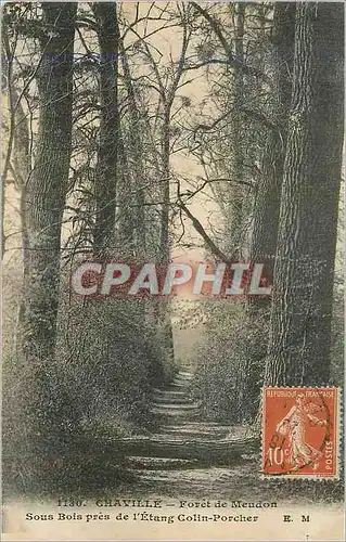 Cartes postales Chaville foret de meudon sous bois pres de l etang colin porcher