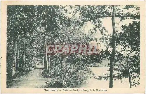 Ansichtskarte AK Tourouvre foret du perche etang de la moussette