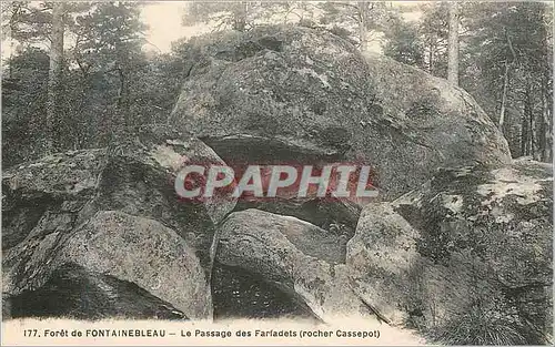 Cartes postales Foret de fontaineleau le passage des farfadets (rocher cassepot)