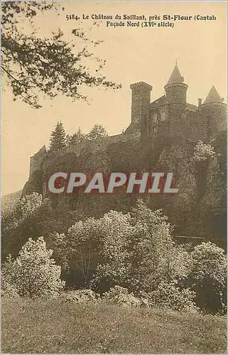 Cartes postales Le chateau du sailiant pres st flour (cantal) facade nord (xvi siecle)