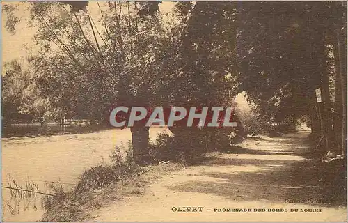 Cartes postales Olivet promenade des borsds du loiret