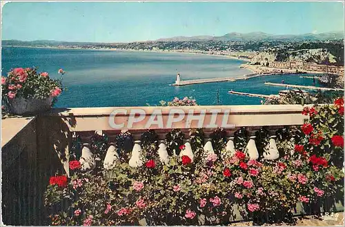 Cartes postales moderne Nice la cote d azur french riviera vue generale