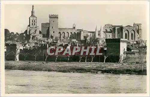 Moderne Karte Avignon (vaucluse) les remparts le palais des papes et notre dame des doms vus des bords du rhon