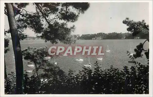 Cartes postales moderne Dinard l estuaire de la rance vu du jardin public
