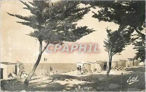 Cartes postales moderne Ile d oleron vue sur la plage de la bree