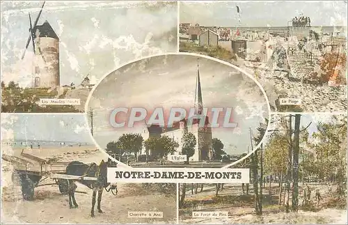 Moderne Karte Notre dame de monts Moulin