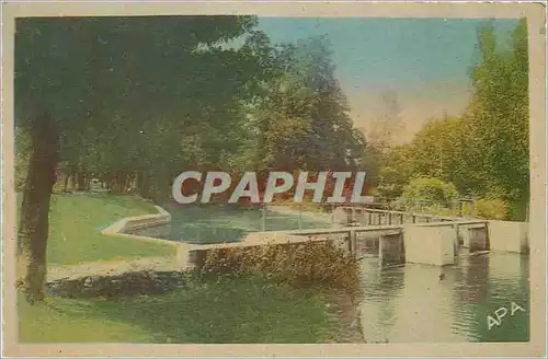 Cartes postales Langeac (h l) passerelle sur l allier a l ile d amour