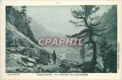 Cartes postales Dauphine belledonne la prairie de l oursiere
