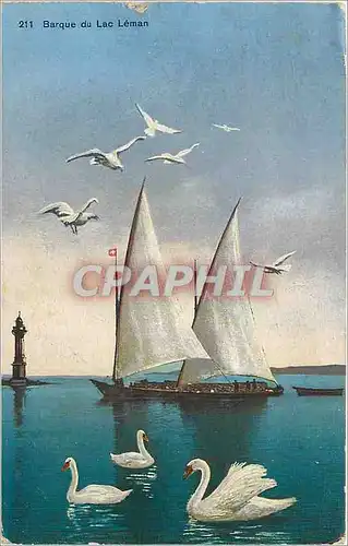 Cartes postales Barque du lac leman Cygnes Bateau
