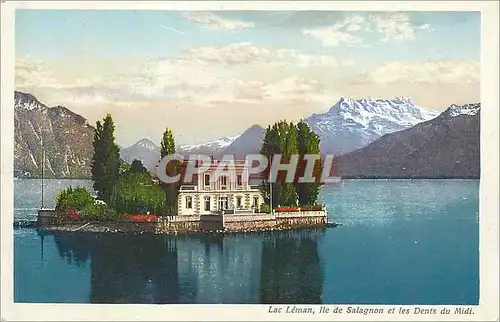 Ansichtskarte AK Lac leman ile de salagnon et les dents du midi