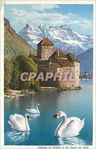 Cartes postales Chateau de sillon et les dents du midi Cygnes