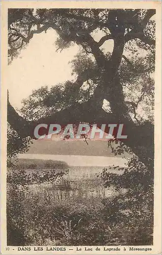 Cartes postales Dans Les Landes Le Lac de Laprade a Messanges