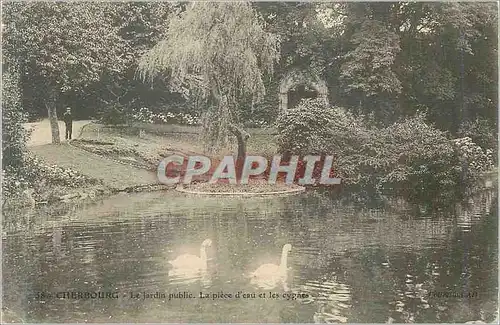 Ansichtskarte AK Cherbourg Le Jardin public Le piece d eau et les cygnes