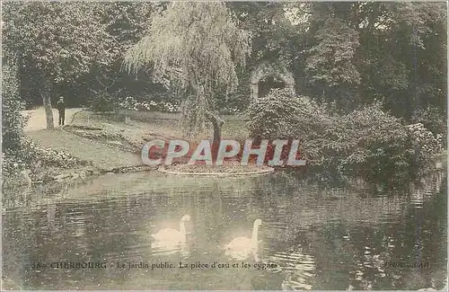 Cartes postales Cherbourg Le Jardin public Le piece d eau et les cygnes