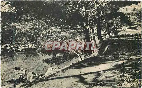Moderne Karte Bandol Chemin de Capeland