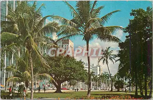 Cartes postales moderne Looking from Barfront Park at Biscayne Island heart of Miami Florida
