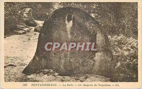 Cartes postales Fontainebleau La foret Le chapeau de Napoleon