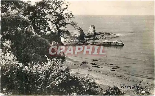 Cartes postales moderne Coniche de Saint Georges de Diddonne a Royan Les Rochers de  Vallieres