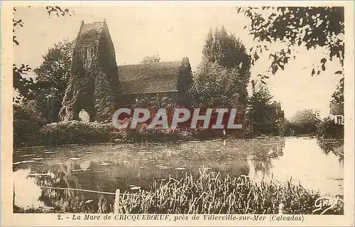 Cartes postales Le Mare de Criqueboeuf pres de Villerville sur Mer Calavdos