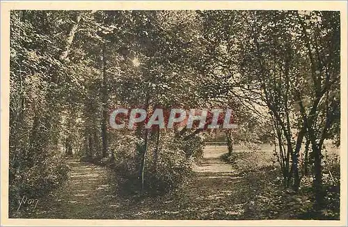 Cartes postales Pontoise Ecole Secondaire St Martin Sous bois dans le Parc