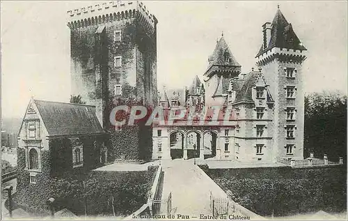 Cartes postales Chateau de Pau Entree du Chateau